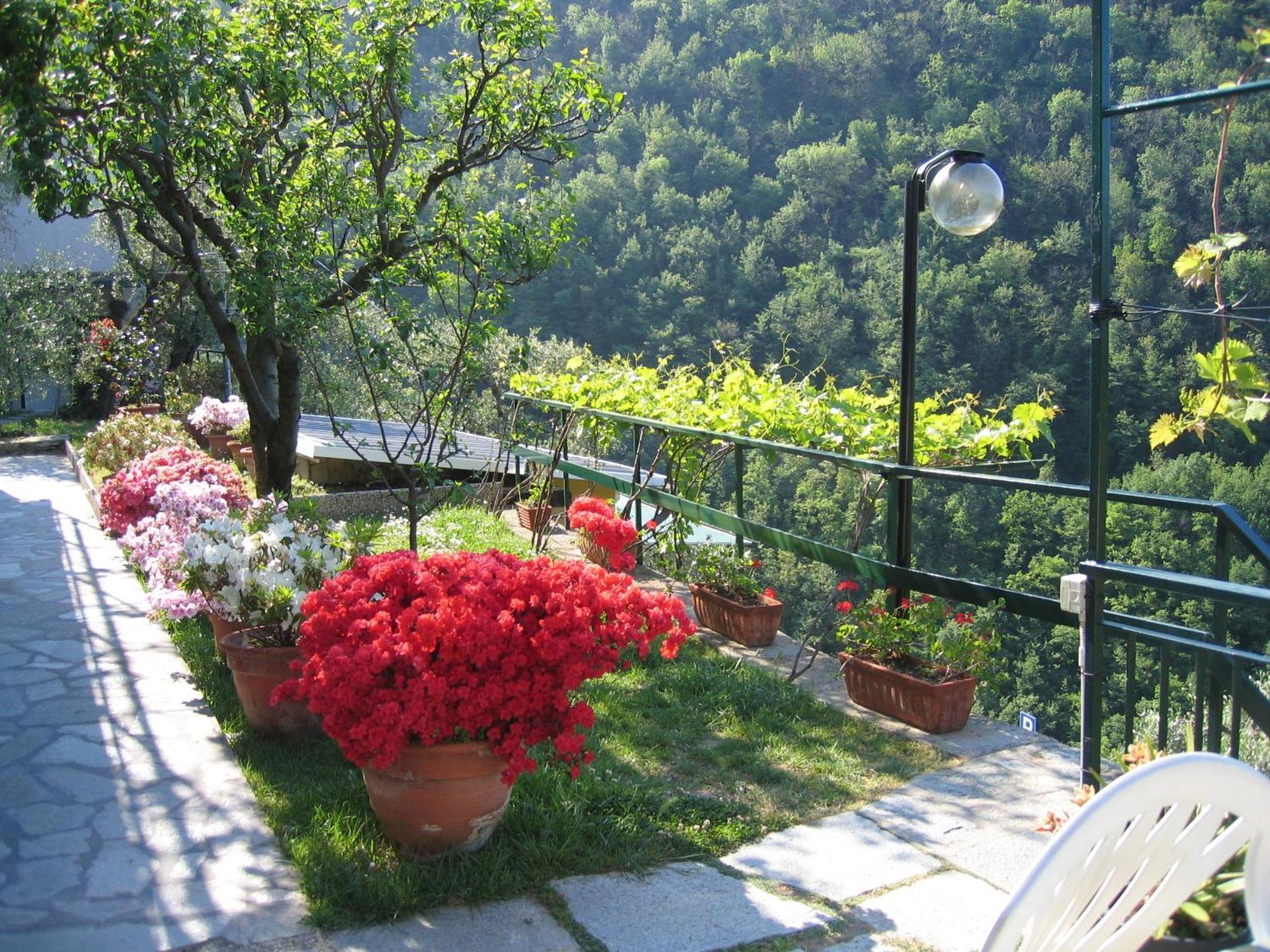 Affittacamere Cerisola 2003 Zoagli Luaran gambar